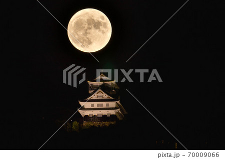 中秋の名月 70009066