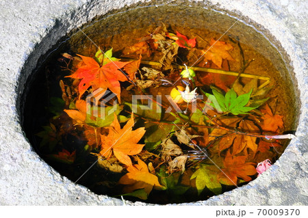 落葉沈む 70009370