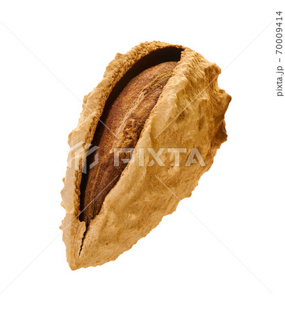 almond shell with clipping path 70009414