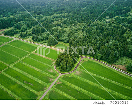 空撮 俯瞰で見る田んぼ 空撮 俯瞰で見る田んぼ 70010512