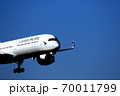 着陸態勢の旅客機 70011799