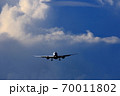着陸態勢の旅客機 70011802