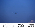 着陸態勢の旅客機 70011833