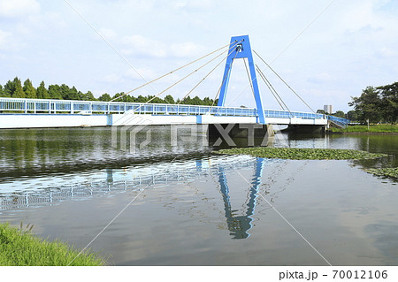 水元大橋　東京都葛飾区　水元公園 70012106