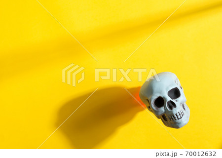 Human skull on a yellow background with shadow. 70012632