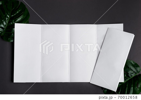 Paper mock-up brochures with natural tropical palm leaf. 70012658