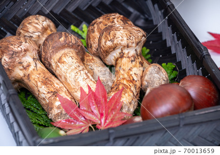 秋の美味しい味覚　松茸・栗・紅葉・カボス 70013659