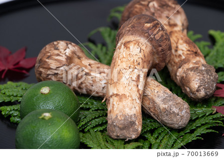 秋の美味しい味覚　松茸・栗・紅葉・カボス 70013669