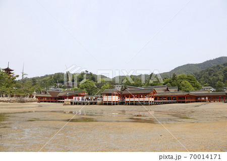 宮島 厳島神社 安芸 広島 宮島 厳島神社 安芸 広島 70014171