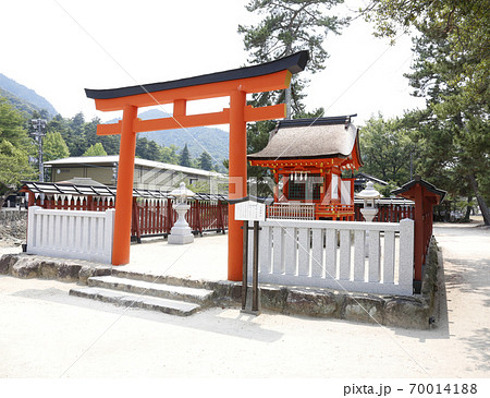 宮島　厳島神社　安芸　広島 70014188