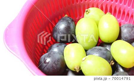 ぶどう ぶどう 70014791