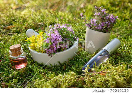 Mortar of thyme and medicinal herbs, essential oil Mortar of thyme and medicinal herbs, essential oil 70016136