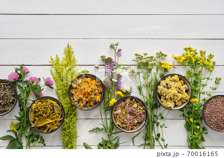Medicinal plants and bowls of dry medicinal herbs on wooden table. Top view, flat lay. Alternative medicine. 70016165