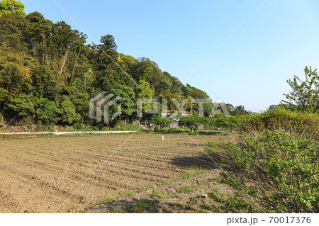 神奈川県横浜市舞岡ふるさと公園に残る田園風景（田植え前） 70017376