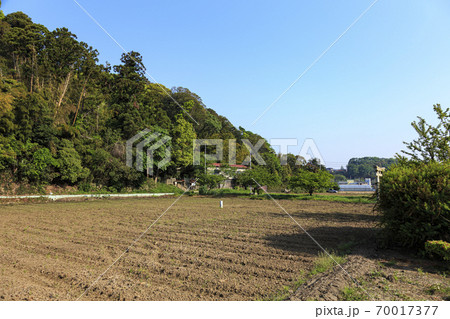 神奈川県横浜市舞岡ふるさと公園に残る田園風景（田植え前） 70017377