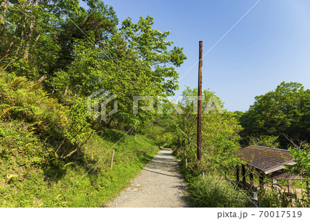 神奈川県横浜市舞岡ふるさと公園に残る田園風景（田植え前） 70017519