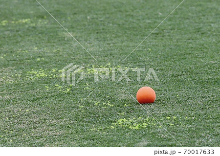 ラクロスの写真素材