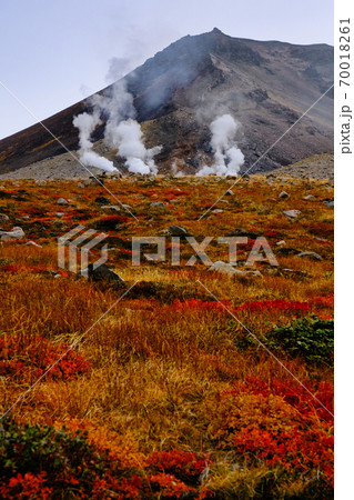 旭岳の紅葉 旭岳の紅葉 70018261