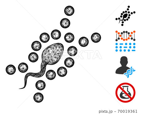 DNA Replication Web Vector Mesh Illustration 70019361