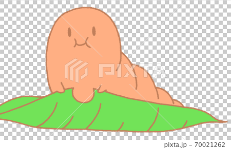 毛毛蟲吃葉子(橙色) 毛毛蟲吃葉子(橙色) 70021262