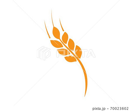 wheat Logo Template wheat Logo Template 70023602