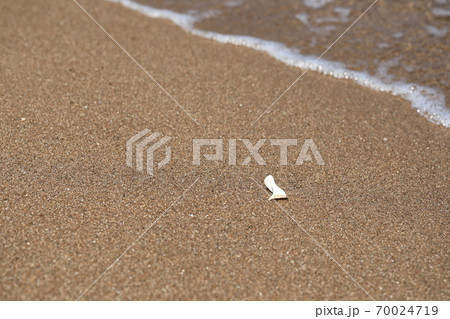 砂 浜 ビーチ 70024719