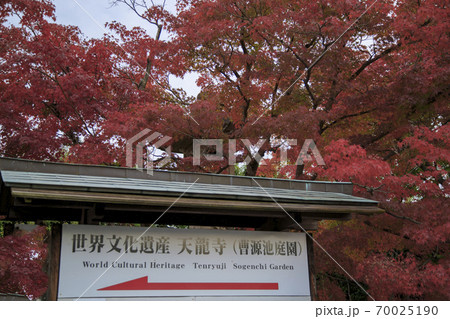 京都の秋　嵐山天龍寺の紅葉 70025190