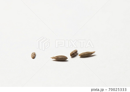 クミンホール　スパイス 70025333