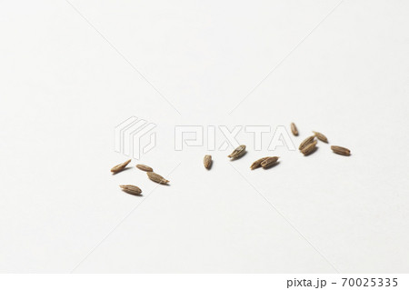 クミンホール スパイス クミンホール スパイス 70025335