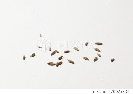 クミンホール スパイス クミンホール スパイス 70025336