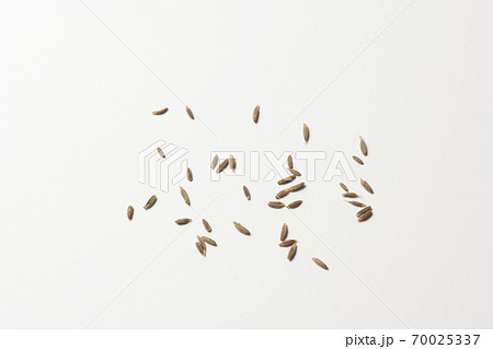 クミンホール スパイス クミンホール スパイス 70025337