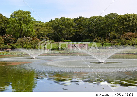 名城公園御深井池 名城公園御深井池 70027131
