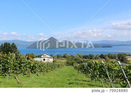 月浦ワイナリーTsukiurawinery 月浦ワイナリーTsukiurawinery 70028880