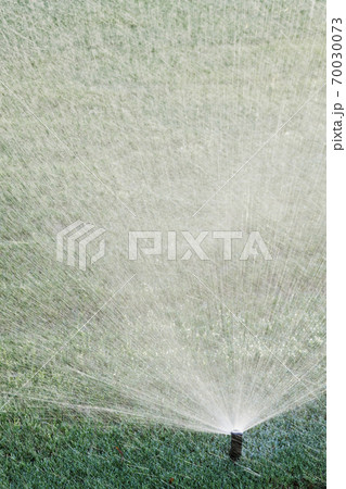 Sprinkler on Lawn 70030073
