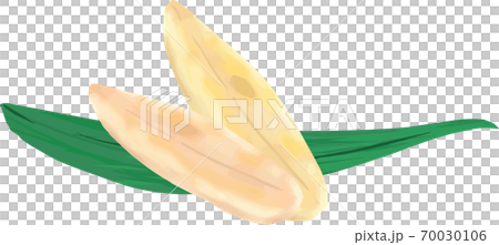 シンプルな笹の葉と笹かまぼこのイラスト シンプルな笹の葉と笹かまぼこのイラスト 70030106