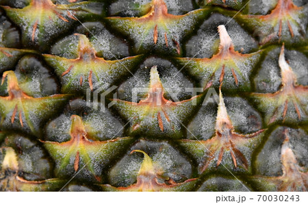 A close up of a pineapple 70030243