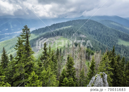 Demanovska valley, Low Tatras, Slovakia Demanovska valley, Low Tatras, Slovakia 70031683