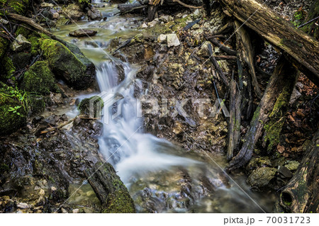 Water stream, Snake valley, Kremnica hills, Slovakia Water stream, Snake valley, Kremnica hills, Slovakia 70031723