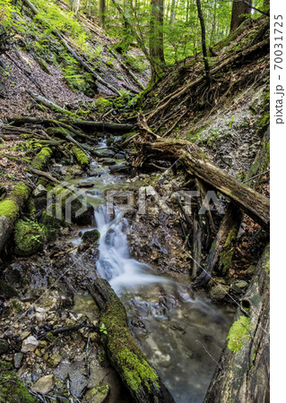 Water stream, Snake valley, Kremnica hills, Slovakia 70031725