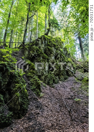 Snake valley, Kremnica hills, Slovakia, seasonal natural scene Snake valley, Kremnica hills, Slovakia, seasonal natural scene 70031731