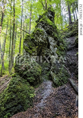 Snake valley, Kremnica hills, Slovakia, seasonal natural scene 70031732