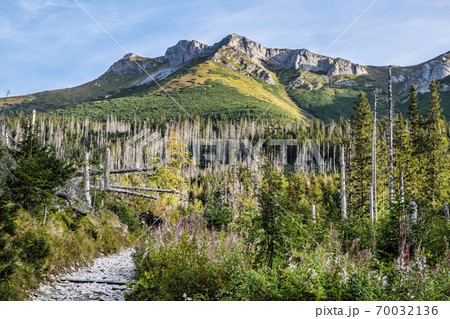 Belianske Tatras scenery, Slovakia, hiking theme 70032136