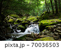 緑に囲まれた山の中を流れる川 70036503