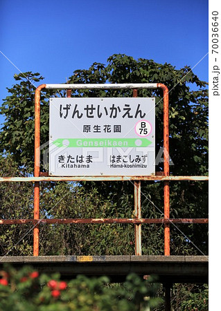 原生花園駅・駅名標（JR北海道・釧網本線）の写真素材 [70036640] - PIXTA