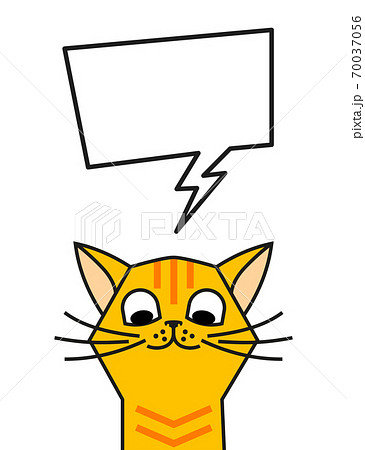 Redhead Cat Meme With Speech Bubble Chat Boxのイラスト素材