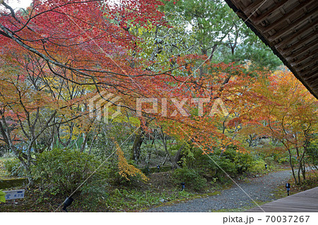 ≪京都　丹波亀岡　秋　紅葉の神蔵寺≫　京都府亀岡市 70037267