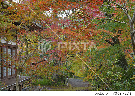≪京都　丹波亀岡　秋　紅葉の神蔵寺≫　京都府亀岡市 70037272