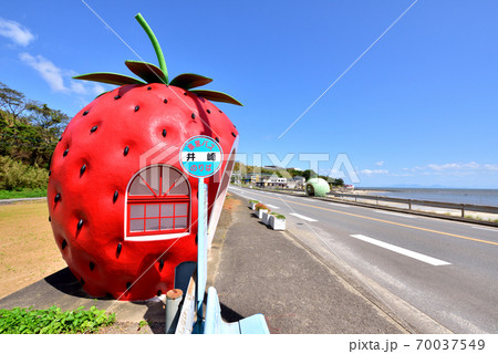 フルーツバス停 井崎バス停 右は有明海諫早湾 長崎県諫早市小長井町 フルーツバス停 井崎バス停 右は有明海諫早湾 長崎県諫早市小長井町 70037549