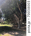 公園 70038003