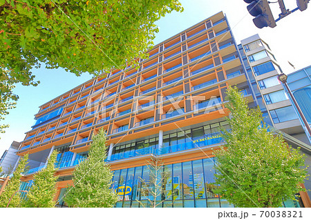 WITH HARAJUKU_青空と街路樹 WITH HARAJUKU_青空と街路樹 70038321